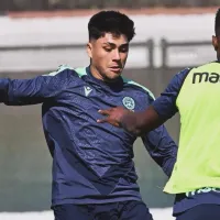 Sin poder jugar: el complejo escenario de Damián Pizarro en el Udinese