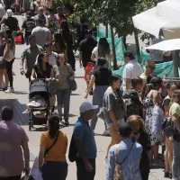 Elecciones 2024: ¿Qué cierra y qué está abierto el sábado 26 y domingo 27 de octubre?