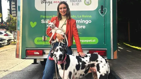 Parque Pet: El primer evento en Chile 100% para mascotas