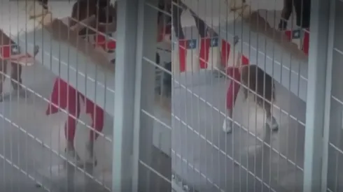 Cathy Barrigabailando zuma en la carcel