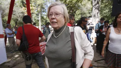 Diputada Mercedes Bulnes