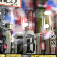 Elecciones 2024: ¿Se puede hacer fiestas y consumir alcohol hoy sábado 23 de noviembre?