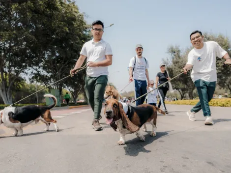 Cortes de tránsito y recomendaciones para la carrera Hush Puppies Walk and Run Editions