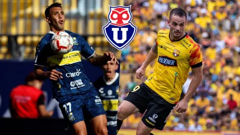 U. de Chile trabaja en el mercado.