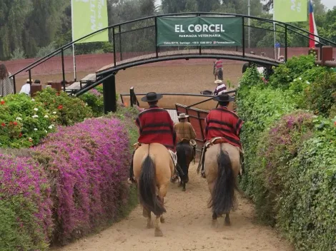 Campeonato Nacional Escolar y Zonal Norte destacan este fin de semana