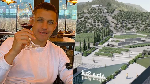 Alexis Sánche construye un viñedo AlmaSoul en el Maule