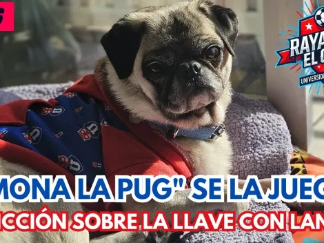 "Simona la Pug" impacta con predicción de la U vs Lanús