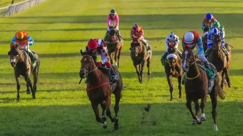 El Ensayo se celebra este viernes 31 de octubre en el Club Hípico.