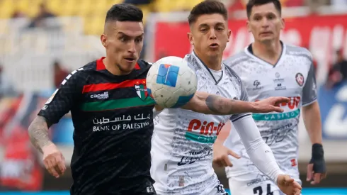 Palestino y Deportes Limache se juegan tres puntos importantísimos en la recta final de la liga chilena.