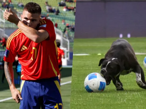 "Perros": español criticó cancha de entrenamiento del Mundial Sub 20