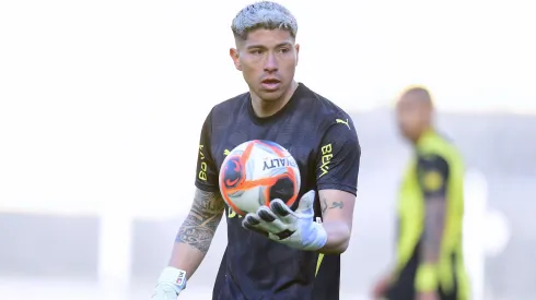 Conocida figura se refirió al posible regreso de Brayan Cortes a Colo Colo.