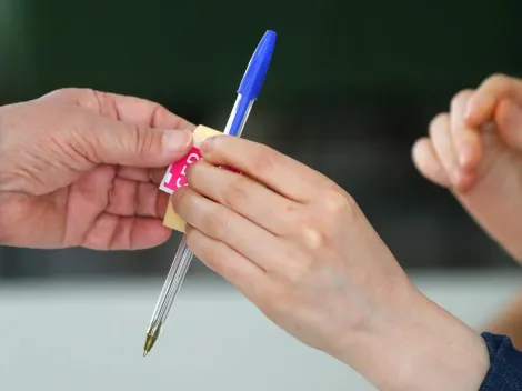 Mayne Nicholls en la papeleta: ¿Cómo es el voto en estas elecciones?