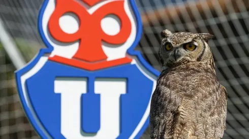 Director de Azul Azul, como representante de la casa de estudios, asegura que la U defiende el legado del Chuncho más allá del cuestionado Clark o la concesionaria de turno.