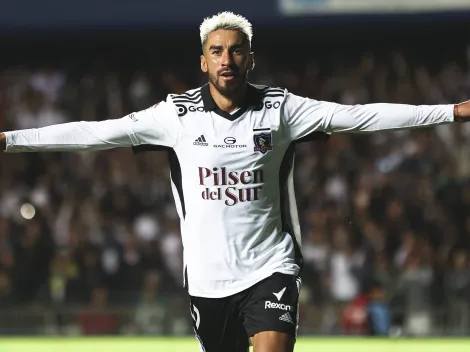 La razón por la que el Gato Lucero es una verdadera opción en la U