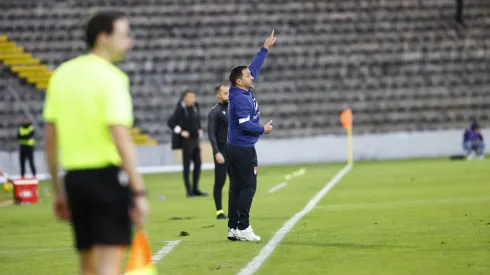 Vasco Matos será o novo treinador do Botafogo. Foto: SCFC.
