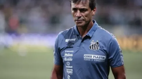 © Ettore Chiereguini/AGIFTécnico Fabián Bustos, do Santos, aprovou nomes cogitados pela diretoria