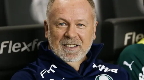 Santos v Palmeiras - Brasileirao Series A 2019