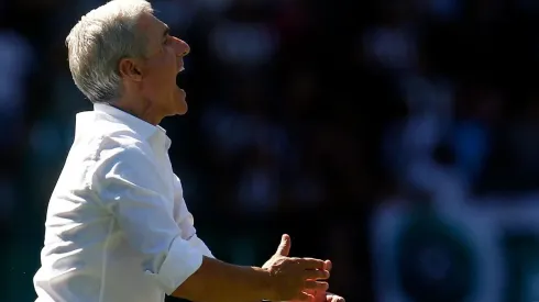 Luís Castro falou sobre o processo de evolução do Botafogo (Foto: Vitor Silva/Botafogo)