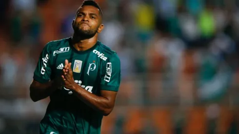 Palmeiras v Ponte Preta - Brasileirao Series A 2017