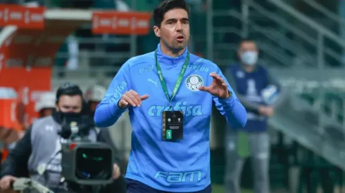 Goleiro chegou e vem sendo importante para Abel Ferreira (Foto: Marcello Zambrana/AGIF)