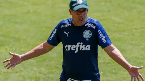 Vanderlei Luxemburgo pode assumir gigante brasileiro