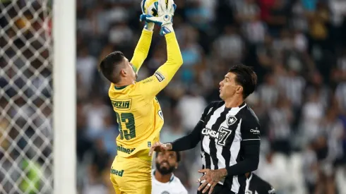 Botafogo v Goias - Brasileirao 2022