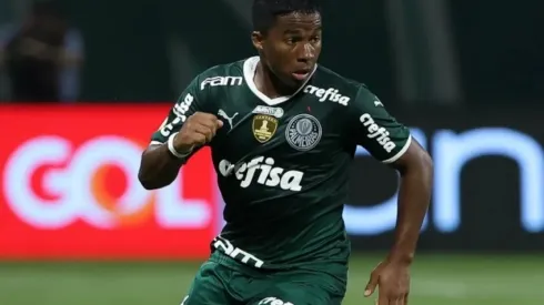 Cesar Greco/Palmeiras
