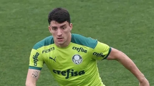 DIVULGAÇÃO/AGÊNCIA PALMEIRAS