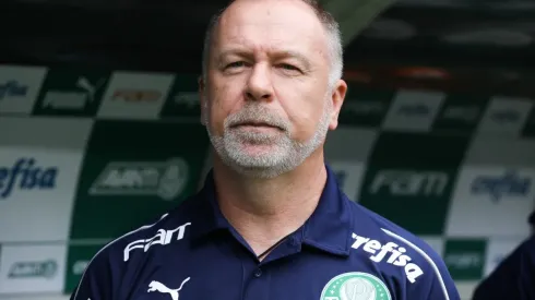 Palmeiras v Gremio - Brasileirao Series A 2019