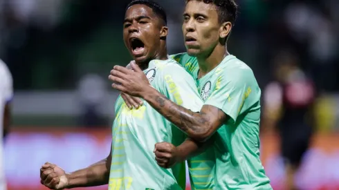 Palmeiras v Avai - Brasileirao 2022