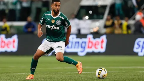 Palmeiras v Fluminense – Brasileirao 2022