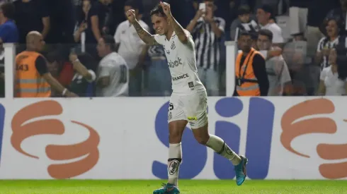 Santos v Flamengo - Brasileirao 2022