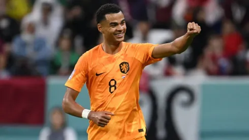 Netherlands v Qatar: Group A - FIFA World Cup Qatar 2022