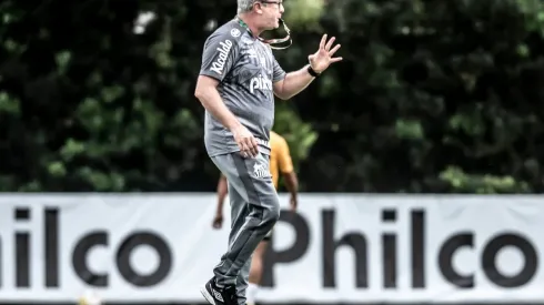 Santos pode perder meio-campista de graça