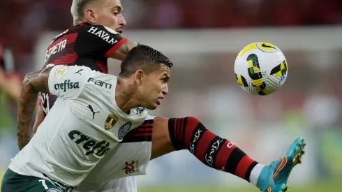 Flamengo v Palmeiras - Brasileirao 2022