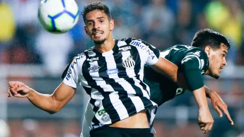 Palmeiras v Santos – Brasileirao Series A 2019
