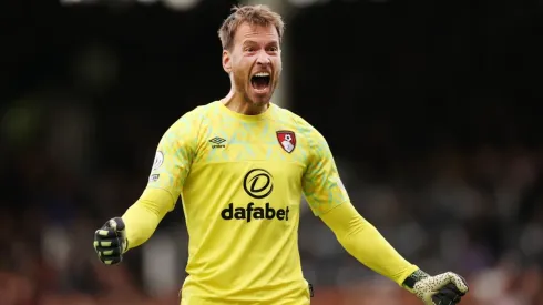 Fulham FC v AFC Bournemouth - Premier League