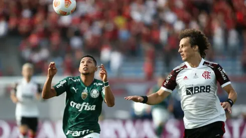 Veja os jogadores do Palmeiras e Flamengo com mais títulos no currículo