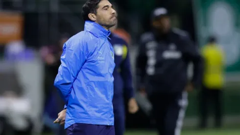 Abel Ferreira soma mais de 40 cartões desde que chegou ao Palmeiras