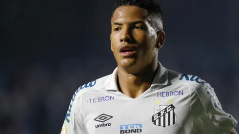 Santos v Flamengo - Brasileirao 2022