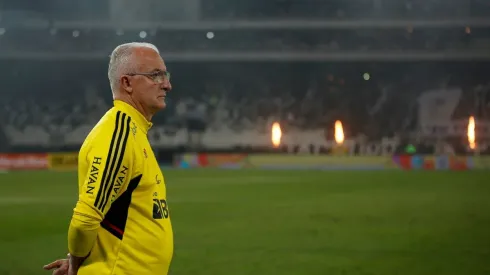 Botafogo v Flamengo - Brasileirao 2022