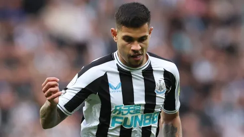 (Photo by Alex Livesey/Getty Images)