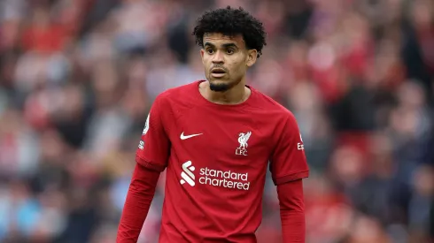 (Photo by Alex Livesey/Getty Images)