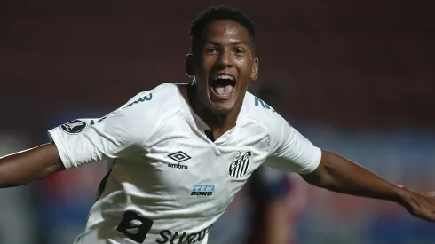 Photo by Natacha Pisarenko – Pool/Getty Images