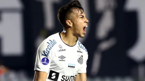 Photo by Carla Carniel-Pool/Getty Images