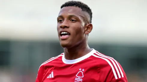 (Photo by David Rogers/Getty Images)