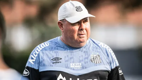 Marcelo Fernandes: técnico confirmou novidade no Peixe (Foto: Raul Baretta/ Santos FC./Divulgação)