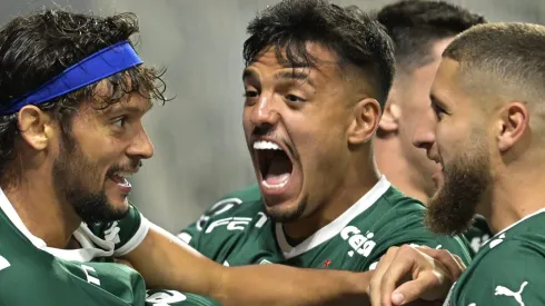 Tite pede multicampeão pelo Palmeiras no Flamengo. (Photo by Pedro Vilela/Getty Images)