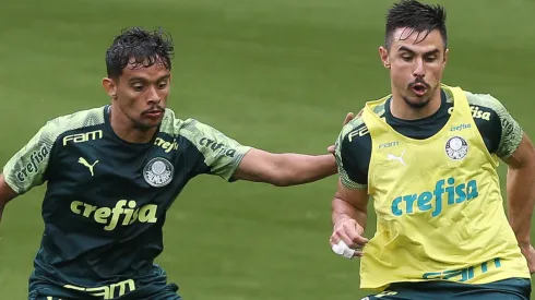 Scarpa e Bigode estão brigando na Justiça (Foto: Cesar Greco/Palmeiras/Divulgação)