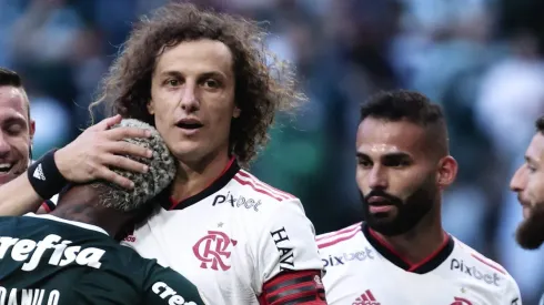 Grêmio quer ídolo do Flamengo. Foto: Ettore Chiereguini/AGIF